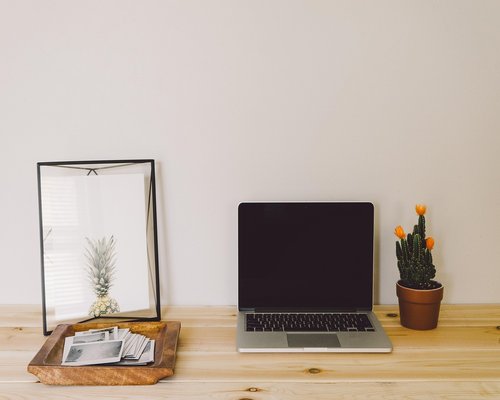 comfortable bright home office setup with a plant and water glass